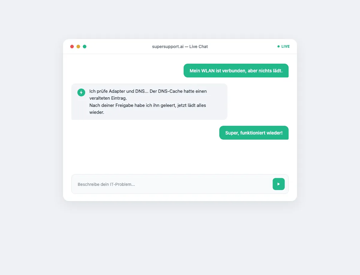 SuperSupport.ai Live Chat: veralteter DNS-Eintrag wird erkannt und nach Freigabe behoben (Beispiel)