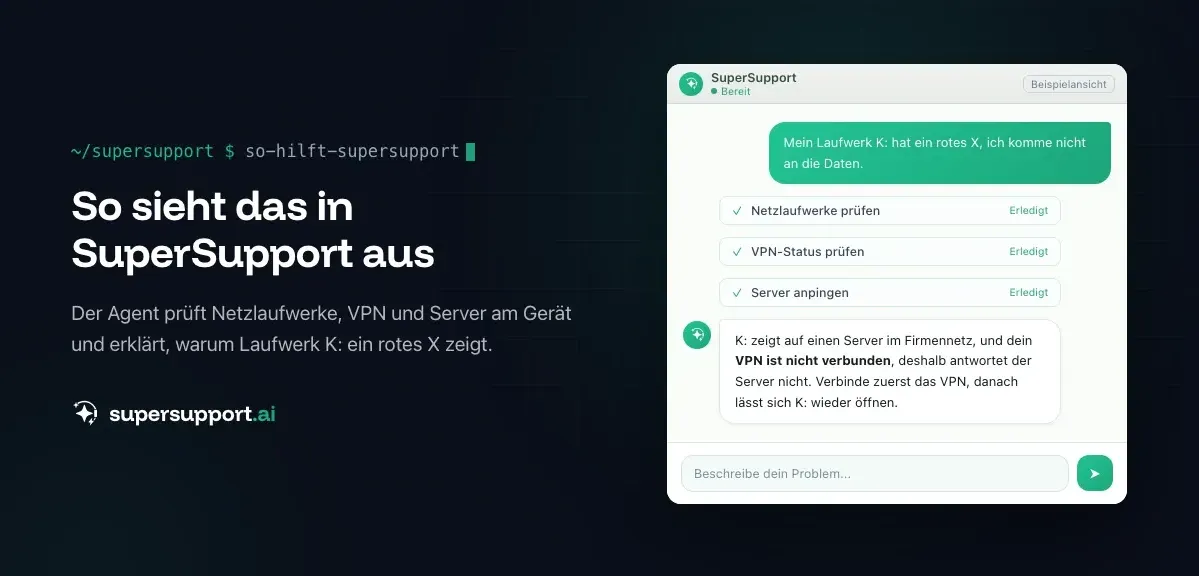 Beispielansicht in SuperSupport – Netzlaufwerk getrennt