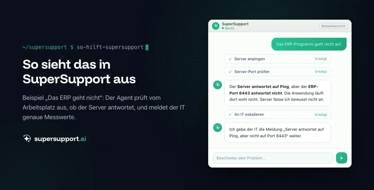 Beispielansicht in SuperSupport – Warum SuperSupport keine Server neu startet